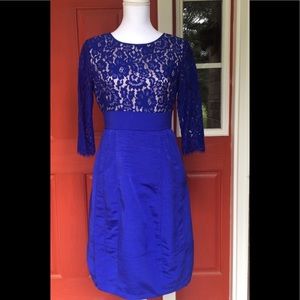 Eliza J blue lace fitted dress 6/4